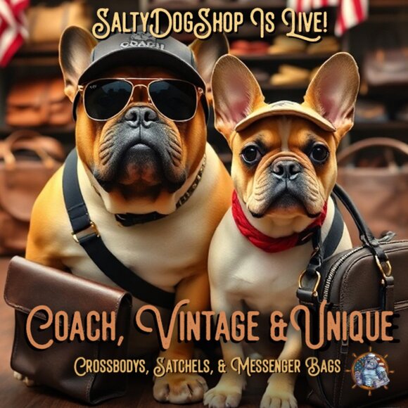 Salty Dog Is Live ⚓ - Picture 1 of 5